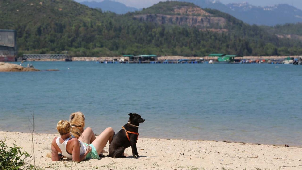 Maret 2021 Merupakan Maret Terpanas Dalam Sejarah Hong Kong Dengan Suhu Rata-rata 24.8°C